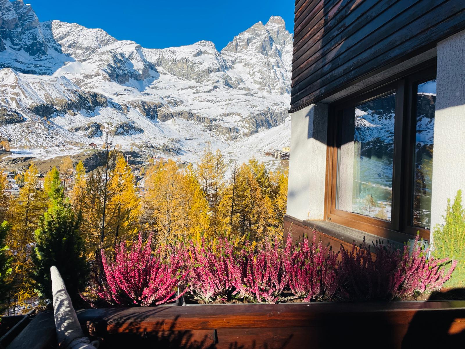 Matterhorn with first snow and golden larches in autumn