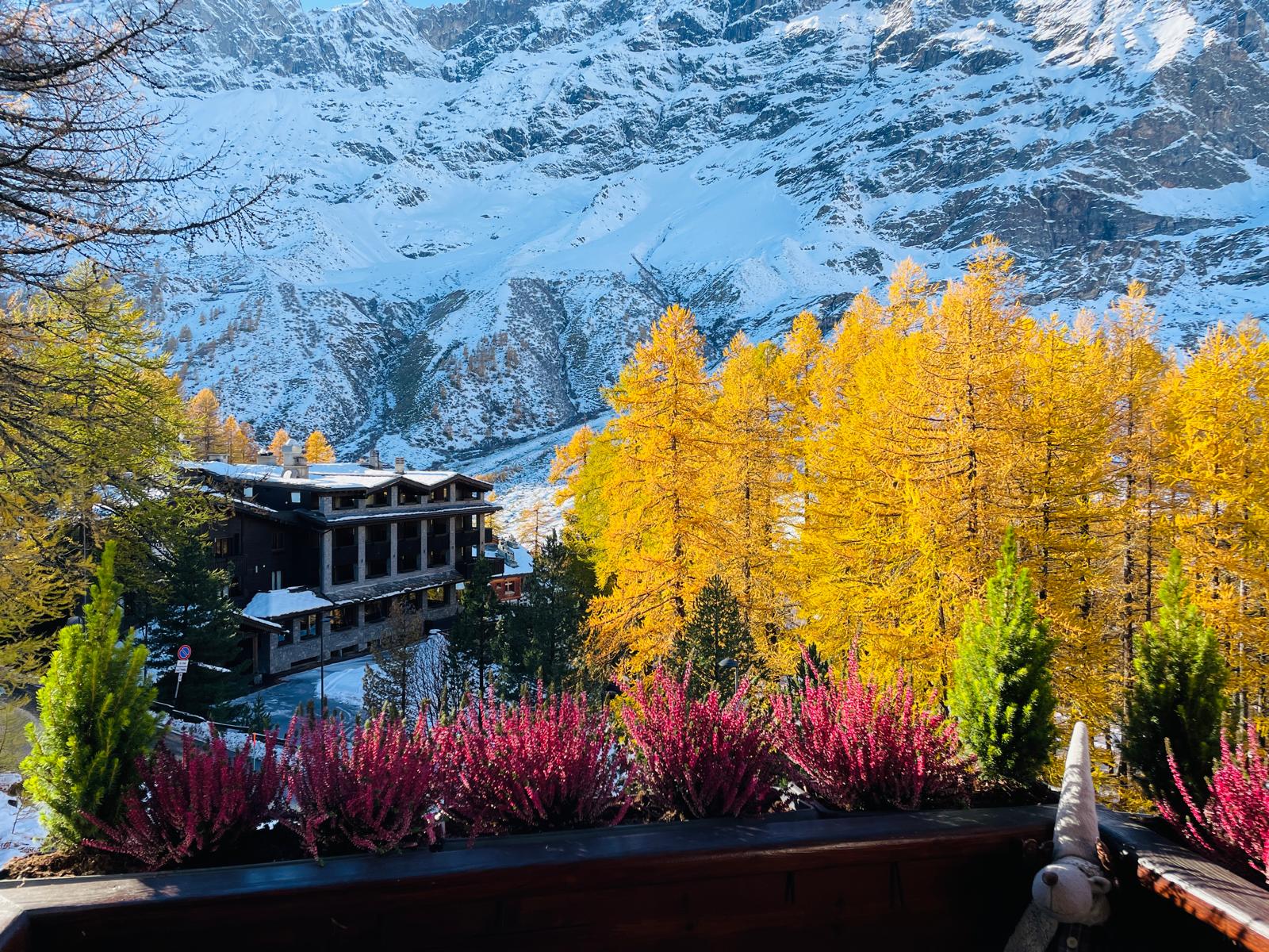 View from the apartment in autumn — golden larches, first snow on the Matterhorn